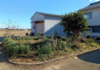 樹木伐採伐根・整地工事