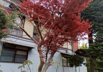 木造２階建て住居解体工事